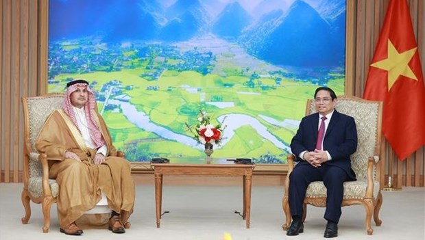 Премьер-министр Фам Минь Тьинь принял посла Саудовскои Аравии во Вьетнаме hinh anh 2