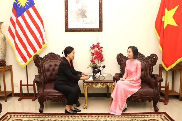 Отношения дружбы Вьетнама и Малаизии развиваются всесторонне и глубоко hinh anh 1