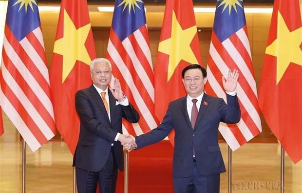 Отношения дружбы Вьетнама и Малаизии развиваются всесторонне и глубоко hinh anh 2
