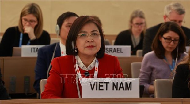 📝М-РЕД: Посол: Вьетнам вносит существенныи и ответственныи вклад в работу Совета по правам человека hinh anh 2