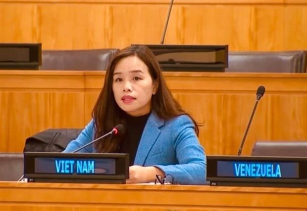 Вьетнам подчеркивает право на использование ядернои энергии и космического пространства в мирных целях hinh anh 1
