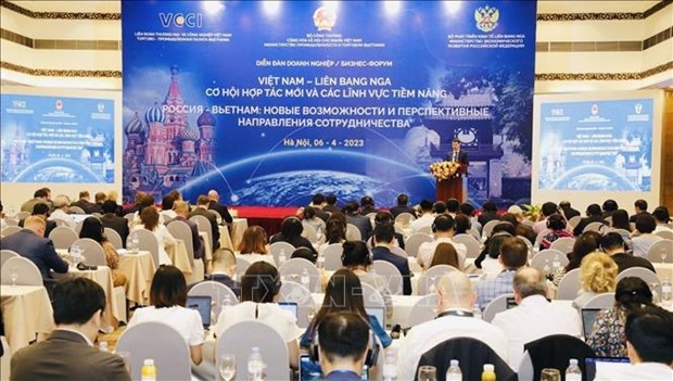 Вьетнам – Россия: новые возможности сотрудничества и потенциальные области hinh anh 1