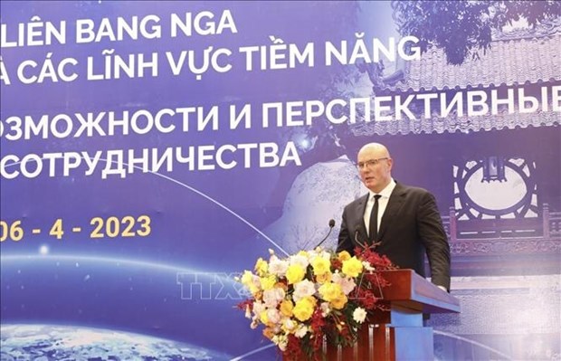 Вьетнам – Россия: новые возможности сотрудничества и потенциальные области hinh anh 3