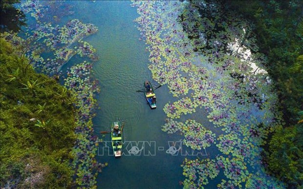 Forbes назвал Ниньбинь одним из 23 лучших туристических направлении 2023 года hinh anh 1