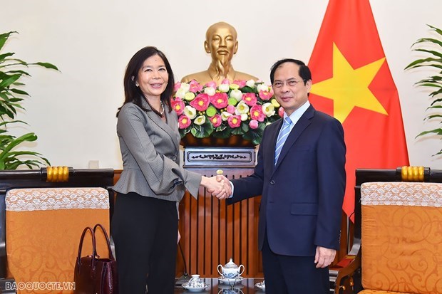 Вьетнам призывает организации ООН к сотрудничеству в приоритетных областях hinh anh 1