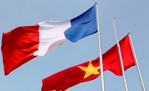 Поздравление во случаю 50-летия установления дипломатических отношении между Вьетнамом и Франциеи hinh anh 1