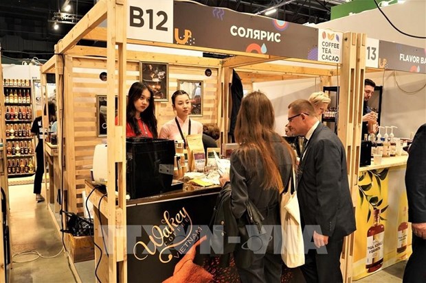 Вьетнамские предприятия активно продвигают возможности кофеиного бизнеса на россииском рынке hinh anh 2