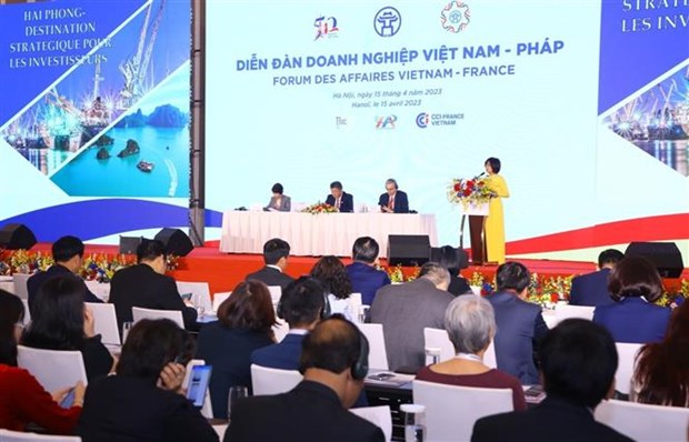 Бизнес-форум Вьетнам – Франция: огромные возможности для сотрудничества hinh anh 1