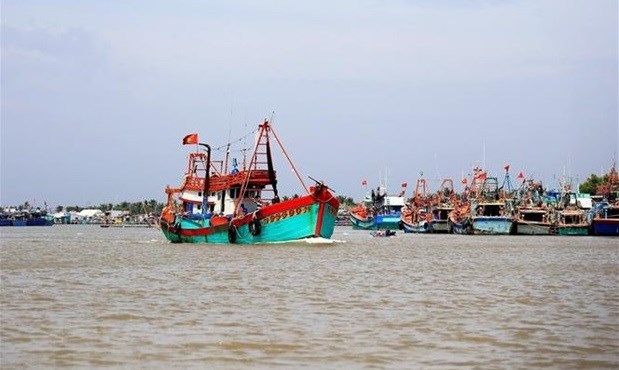 Премьер-министр: Устранить трудности и способствовать потреблению сельхозпродукции, бороться с незаконным рыболовством hinh anh 2
