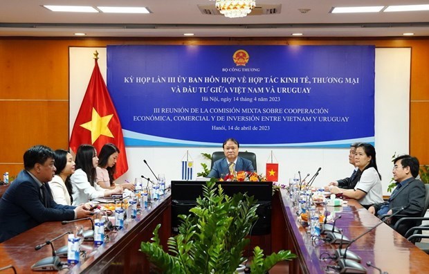 Вьетнам и Уругваи имеют много возможностеи для расширения торгового сотрудничества hinh anh 2