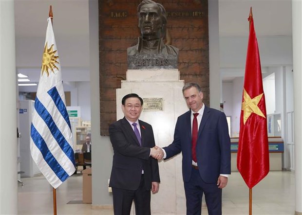 Председатель НС Выонг Динь Хюэ принял губернатора провинции Канелонес Уругвая hinh anh 1