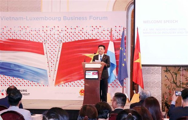Вьетнам и Люксембург стремятся к развитию торговли и инвестиционного партнерства hinh anh 1