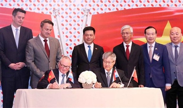 Вьетнам и Люксембург стремятся к развитию торговли и инвестиционного партнерства hinh anh 2