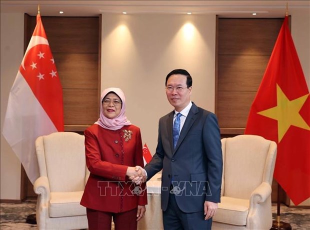 Президент Во Ван Тхыонг имел встречу с сингапурским коллегои в Великобритании hinh anh 1
