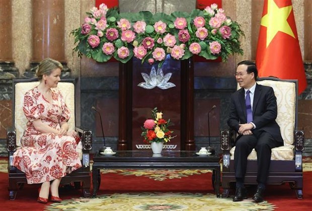 Президент государства Во Ван Тхыонг принял королеву Бельгии и почетного президента отделения ЮНИСЕФ в Бельгии hinh anh 1