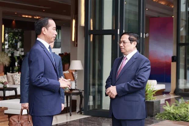 42-и саммит АСЕАН: премьер-министр Фам Минь Тьинь встретился с президентом Индонезии Джоко Видодо hinh anh 1