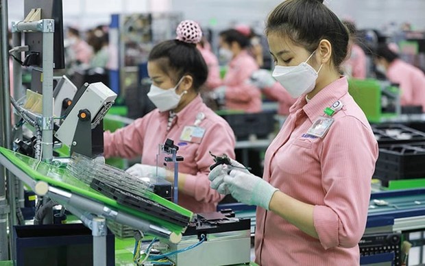 Вьетнам становится новым производственным центром hinh anh 2