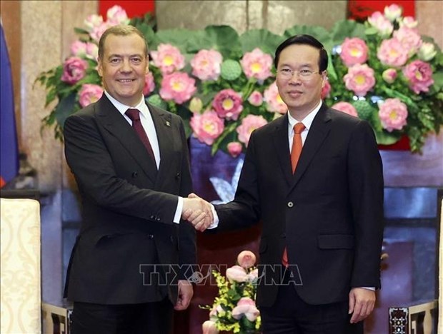 Президент Во Ван Тхыонг принял Председателя партии «Единая Россия» Д. Медведева hinh anh 1