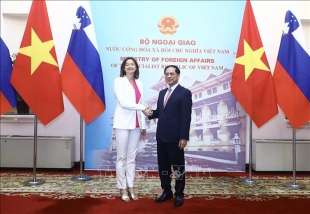 Министр иностранных дел Вьетнама провел переговоры с заместителем премьер-министра и министром иностранных и европеиских дел Словении hinh anh 1