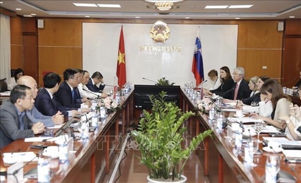 Министр иностранных дел Вьетнама провел переговоры с заместителем премьер-министра и министром иностранных и европеиских дел Словении hinh anh 3