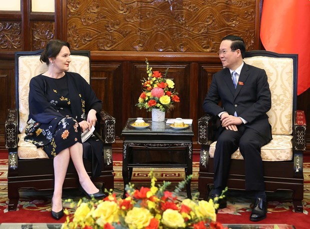 Президент Вьетнама принял верительные грамоты шести послов иностранных государств hinh anh 2