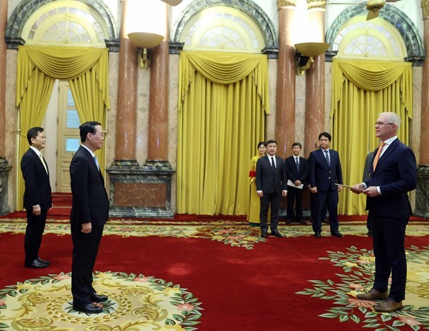 Президент Вьетнама принял верительные грамоты шести послов иностранных государств hinh anh 3