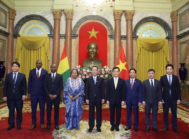 Президент Вьетнама принял верительные грамоты шести послов иностранных государств hinh anh 4