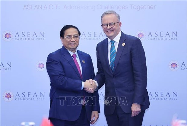 Эксперт впечатлен достижениями стратегического партнерства между Вьетнамом - Австралиеи hinh anh 1