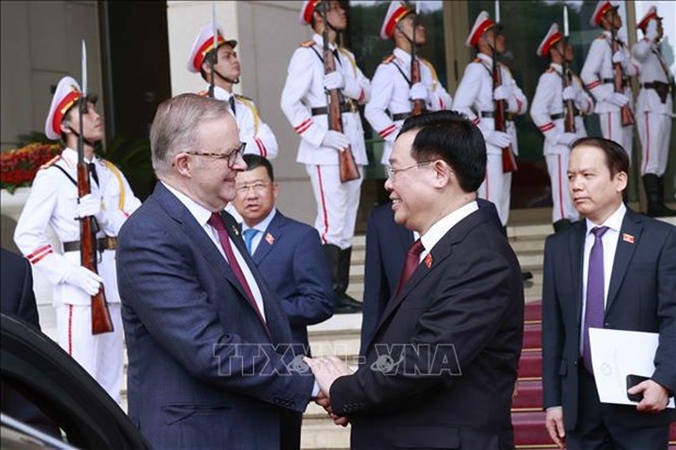 Председатель НС Выонг Динь Хюэ имел встречу с премьер-министром Австралии Энтони Альбанезе hinh anh 1
