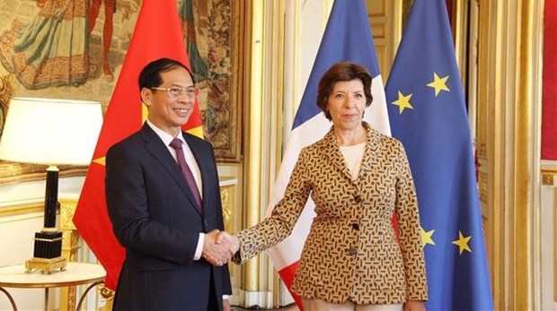 Вьетнам и Франция надеются вывести двустороннее сотрудничество на новыи уровень hinh anh 1