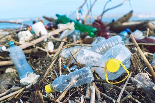 Южно-центральные провинции продолжают борьбу с пластиковыми отходами hinh anh 2