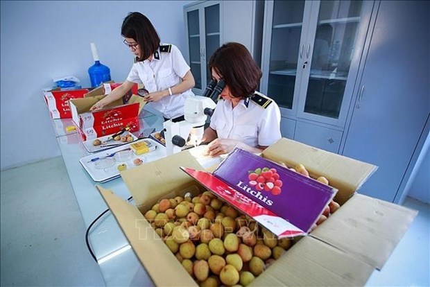 Центр облучения откроется на севере страны для обслуживания экспорта фруктов hinh anh 1