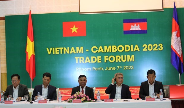 Вьетнам активизирует продвижение торговли в Камбодже hinh anh 1