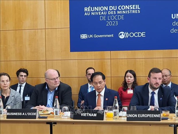 Министр иностранных дел Буи Тхань Шон подчеркнул решимость в отношении зеленого перехода на конференции Совета министров ОЭСР 2023 г. hinh anh 1