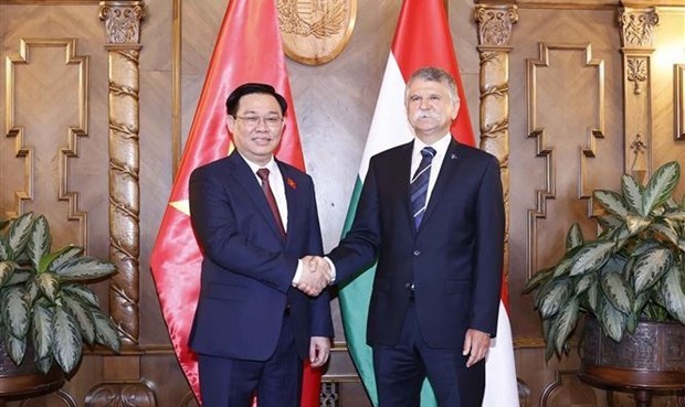 Заместитель председателя Национального собрания М.Мараи: Отношения Венгрии и Вьетнама будут развиваться и улучшаться hinh anh 1