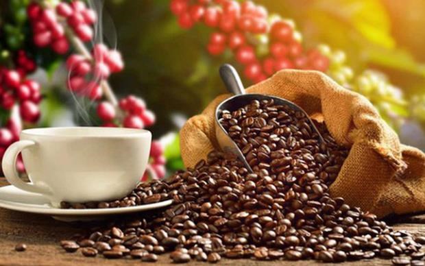 Экспорт вьетнамского кофе надеется заработать более 4 млрд. долл. США в этом году hinh anh 1