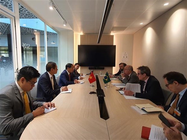 Министр иностранных дел Вьетнама встретился в Париже с представителями Бразилии, Франции, ЕС и Канады hinh anh 1