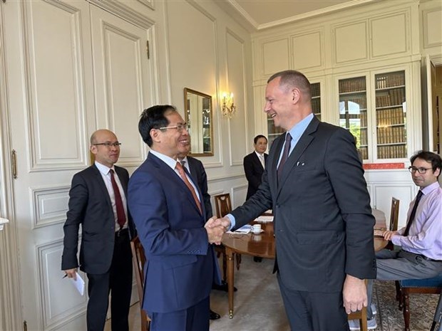 Министр иностранных дел Вьетнама встретился в Париже с представителями Бразилии, Франции, ЕС и Канады hinh anh 2