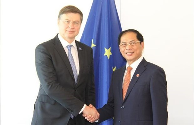 Министр иностранных дел Вьетнама встретился в Париже с представителями Бразилии, Франции, ЕС и Канады hinh anh 3