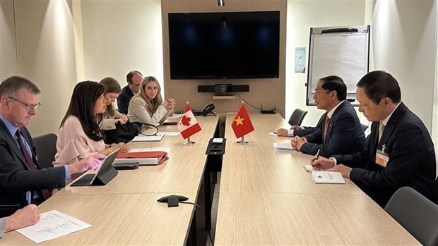 Министр иностранных дел Вьетнама встретился в Париже с представителями Бразилии, Франции, ЕС и Канады hinh anh 4