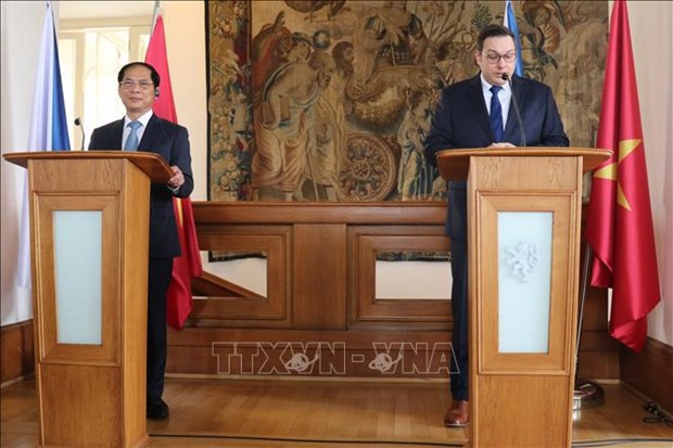 Министр: Вьетнам дорожит дружбои и всесторонним сотрудничеством с Чехиеи hinh anh 1
