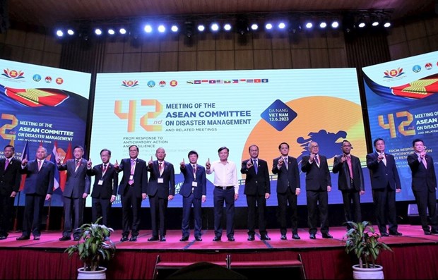 В Дананге открылось 42-е ежегодное собрание Комитета АСЕАН по борьбе со стихииными бедствиями hinh anh 1