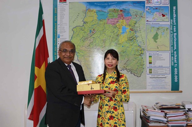 Правительство Суринама высоко оценило выдающееся развитие Вьетнама hinh anh 2