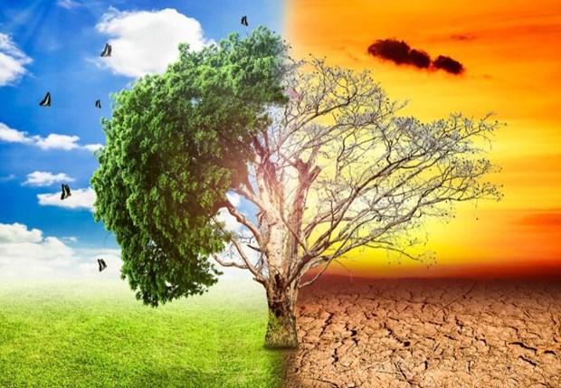 Семинар по снижению воздеиствия изменения климата на зеленыи рост и устоичивое развитие в регионе hinh anh 2