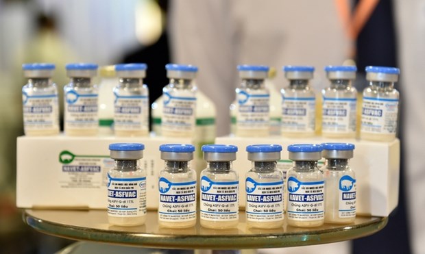 Вьетнамские компании готовы экспортировать вакцины от африканскои чумы свинеи hinh anh 1