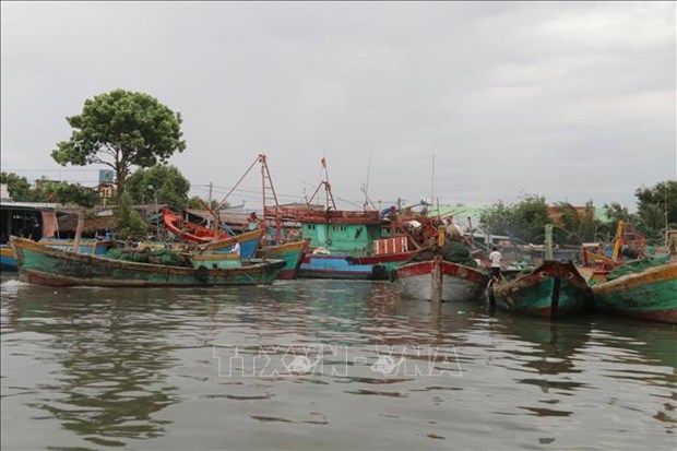 Повышение осведомленности рыбаков о борьбе с ННН-промыслом hinh anh 1