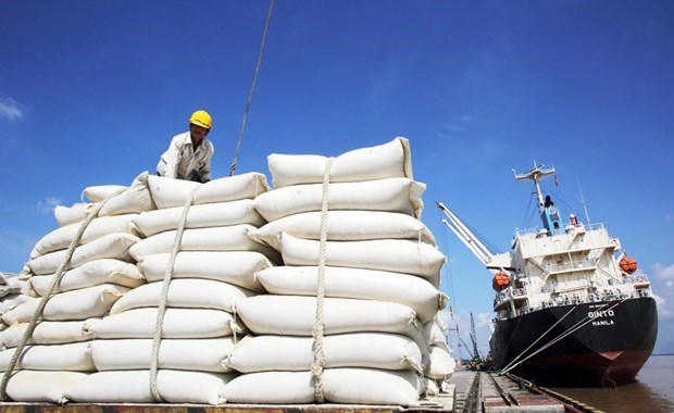 Цены на экспортируемыи Вьетнамом рис самые высокие в мире hinh anh 1
