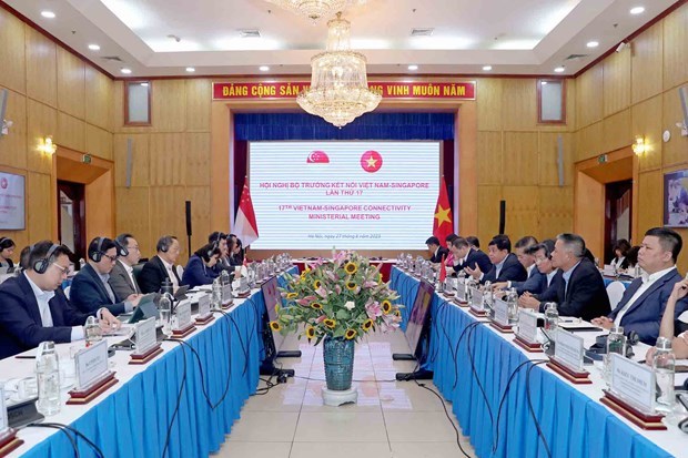 Вьетнам и Сингапур укрепляют экономические связи по пяти основным направлениям hinh anh 1