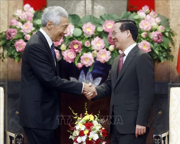 Президент Во Ван Тхыонг принял премьер-министра Сингапура Ли Сяньлуна hinh anh 2