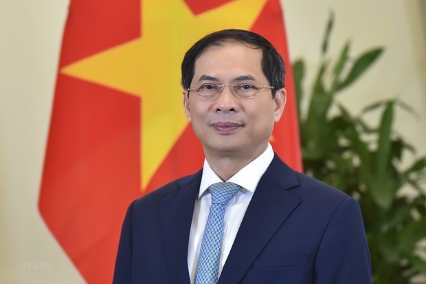 Вьетнам полон решимости построить сильныи, всеобъемлющии и современныи дипломатическии сектор hinh anh 1